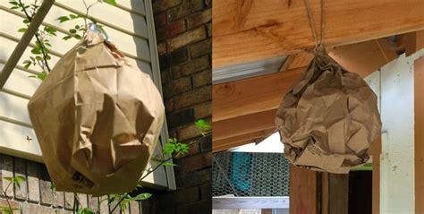 how to make a fake wasp nest paper bag|paper bag wasp hat trick.